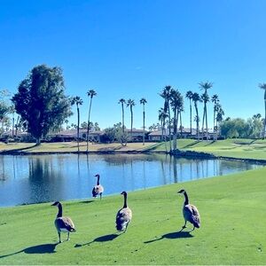 Meet your Posher, Cent